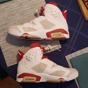 Jordan 6 alternate